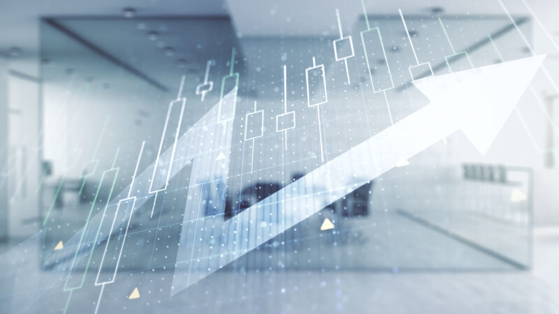 Fundo de Emergência na Vida Financeira